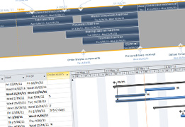 project management